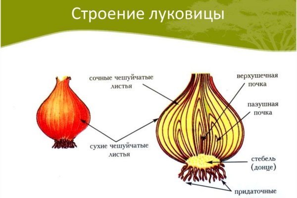 BlackSprut onion магазин