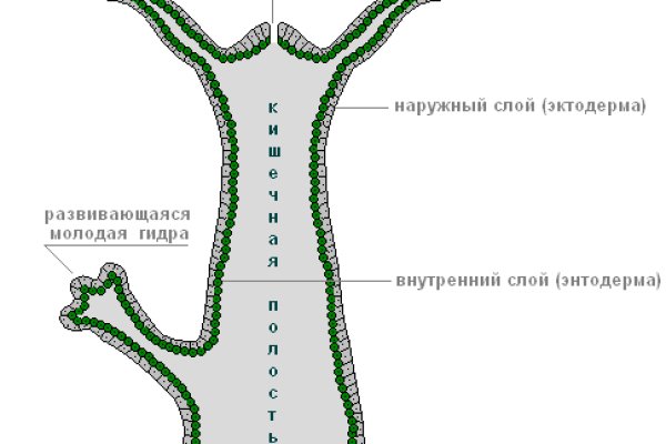 Правильная ссылка на mega через тор