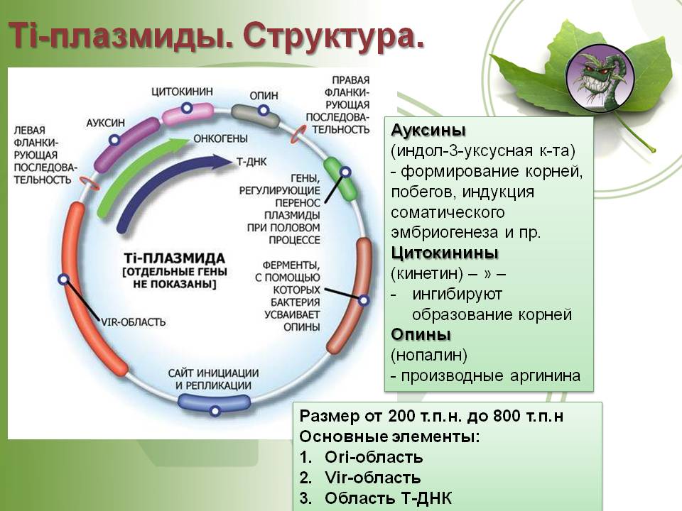 Кракен магазин даркнет