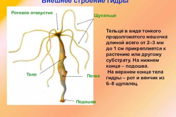 Найти ссылку на кракен