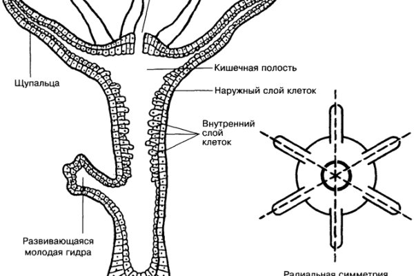 Магазин мега черный рынок ссылка на сайт