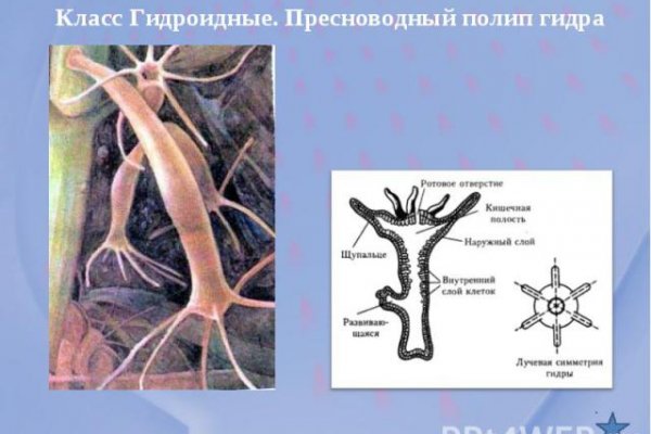 Ссылки на онион сайты